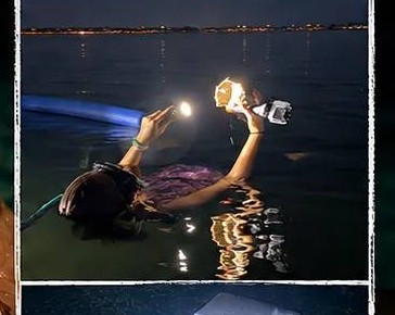 A guide floating in dark water at night, holding up a bright dive light while snorkeling.